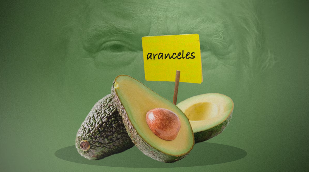 Aguacate, el "oro verde" mexicano en riesgo de encarecerse por falta de acuerdo (Jovani Pérez)