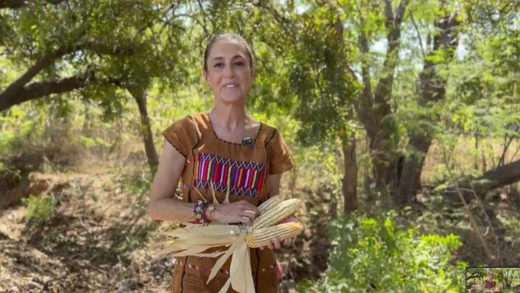 La presidenta mexicana señaló que esta iniciativa busca proteger al maíz como símbolo de identidad en el país (X/@Claudiashein)